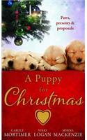 Puppy for Christmas