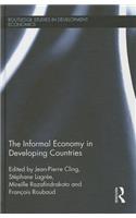 The Informal Economy in Developing Countries