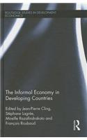 Informal Economy in Developing Countries