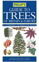 Philips Guide to Trees of Britain and Europe