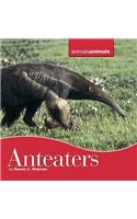 Anteaters