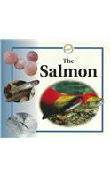 The Salmon: (Life Cycles (Raintree Paperback))