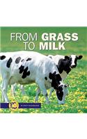 From Grass to Milk