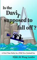 Is the Davit Supposed to Fall Off?