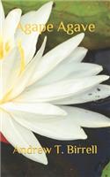 Agape Agave