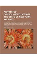 Annotated Consolidated Laws of the State of New York; As Amended to January 1, 1910 Containing Also the Federal and State Constitutions with Notes of Board of Statutory Consolidation, Tables of Laws and Index Volume 3