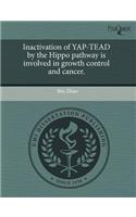 Inactivation of Yap-Tead by the Hippo Pathway Is Involved in Growth Control and Cancer