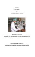 Khushi?s Practicals in Fundamental Immunology: Immunology Practicals