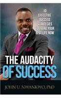 Audacity Of Success