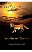 Samtpfoten um Mitternacht