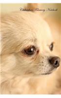 Chihuahua February Notebook Chihuahua Record, Log, Diary, Special Memories, To Do List, Academic Notepad, Scrapbook & More