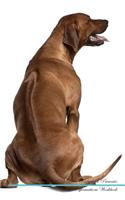 Rhodesian Ridgeback Affirmations Workbook Rhodesian Ridgeback Presents: Positive and Loving Affirmations Workbook. Includes: Mentoring Questions, Guidance, Supporting You.