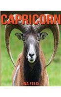 Capricorn: Children Book of Fun Facts & Amazing Photos on Animals in Nature - A Wonderful Capricorn Book for Kids aged 3-7