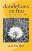 dandelions on fire