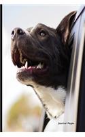 Journal Pages - Car Dog
