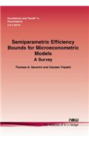 Semiparametric Efficiency Bounds for Microeconometric Models