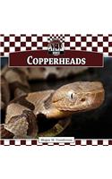 Copperheads