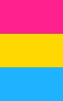Pansexual Pride Flag Sketch Journal
