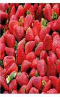 Simply Strawberry: Notebook with fresh strawberries and Journal with 120 lined pages 6x9 inches