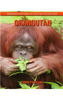 Orangutan