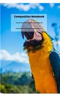 Composition Notebook: Cute Parrot Tropical Birds Vacation Themed Notebook or Journal