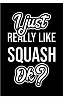 I Just Really Like Squash Ok?: Christmas Gift for Squash lover - Funny Squash Journal - Nice 2019 Christmas Present for Squash - 6x9inch 120 pages