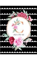 C Hello Little One: Pregnancy Tracker - Baby Shopping List - Pre-Natal Visits - Baby Shower Tracker - Nursery Planner - Baby Name Ideas - Hospital Checklist