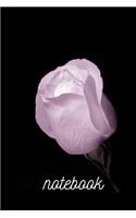 Beautiful Rose black note book: a great personal gift