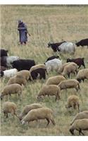 Herding Sheep in Bulgaria Journal: Take Notes, Write Down Memories in this 150 Page Lined Journal