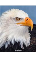 Note Book: Eagle Head, Notebook, Wide Lined, 200 Paged 7.44 X 9.69, Eagle, American, Bird of Prey