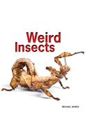 Weird Insects