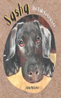 Sasha The Lab Retriever
