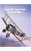Sopwith Camel Aces of World War 1: (Aircraft of the Aces)