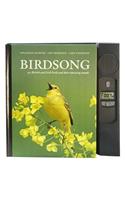 Birdsong