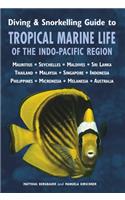 Tropical Marine Life of the Indo-Pacific