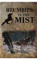 Brumbies in the Mist