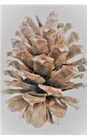 Pine Cone Notebook