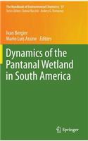 Dynamics of the Pantanal Wetland in South America