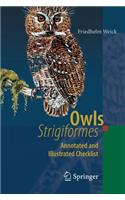 Owls (Strigiformes)