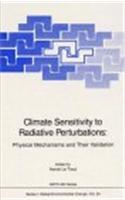 Climate Sensitivity to Radiative Perturbations