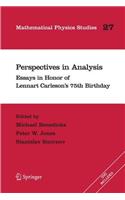 Perspectives in Analysis