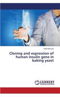 Cloning and expression of human insulin gene in baking yeast