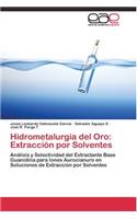 Hidrometalurgia del Oro