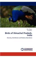 Birds of Himachal Pradesh, India