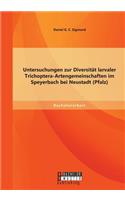 Untersuchungen zur Diversität larvaler Trichoptera-Artengemeinschaften im Speyerbach bei Neustadt (Pfalz)