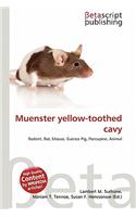 Muenster Yellow-Toothed Cavy