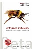 Anthidium Undulatum: (English)
