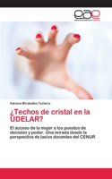 ¿Techos de cristal en la UDELAR?