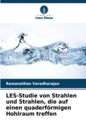 LES-Studie von Strahlen und Strahlen, die auf einen quaderförmigen Hohlraum treffen