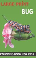 large print Bug coloring book for kids